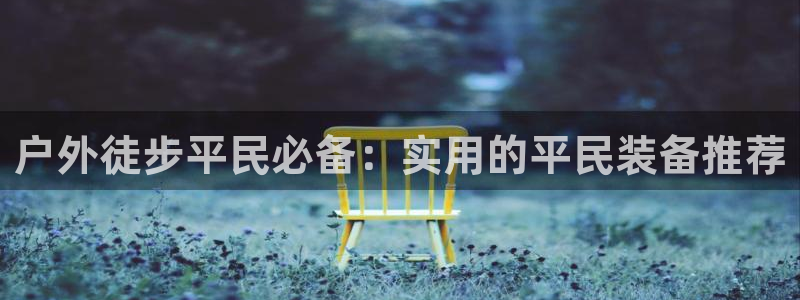 新宝GG的老板