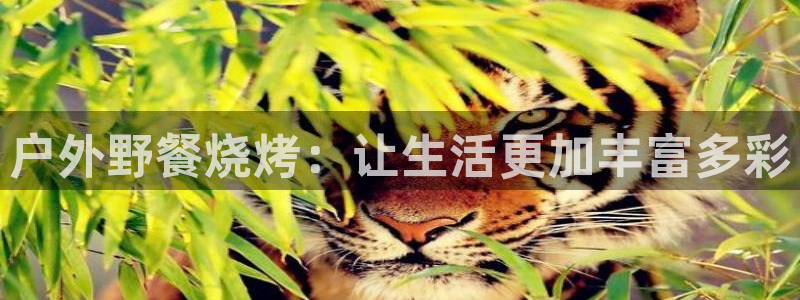 新宝GG玩家