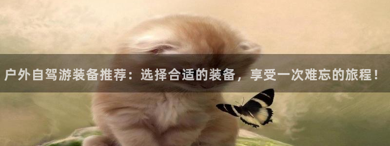 新宝gg一创造奇迹