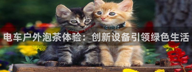 www.新宝gg