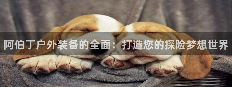 新宝GG都有哪些计划