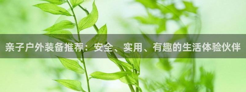 新宝gg平台下载安装