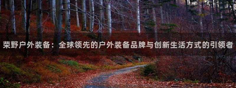 新宝gg网点