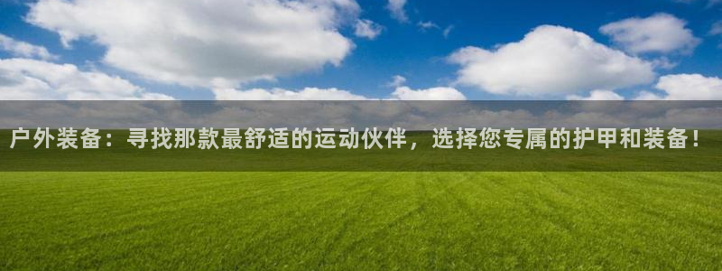 新宝gg下载官网下载