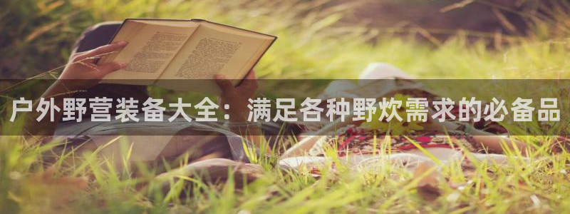 新宝gg代理条件
