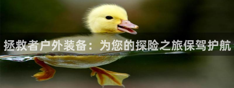 新宝gg注销