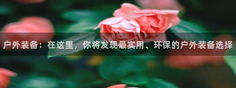 新宝GG主管41333