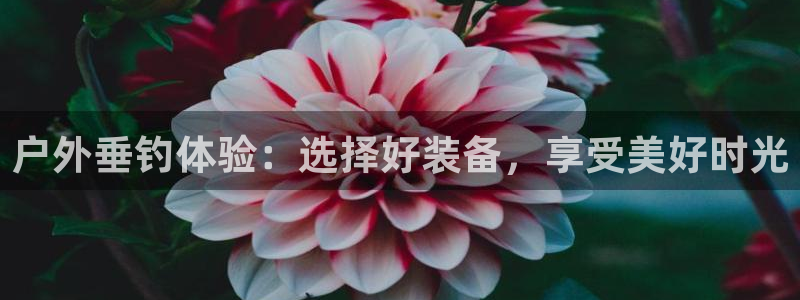 新宝gg介绍