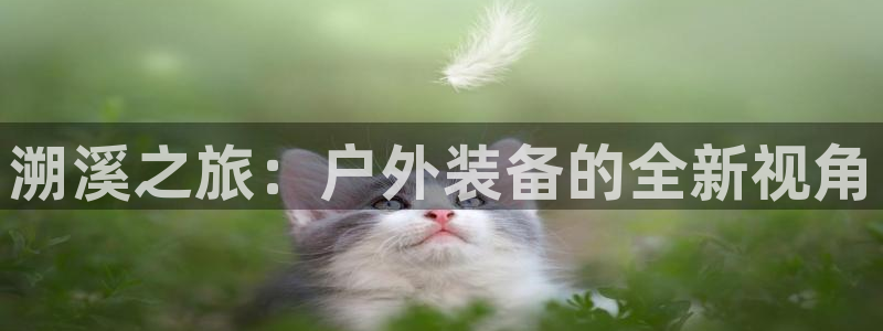 新宝GG专业团队