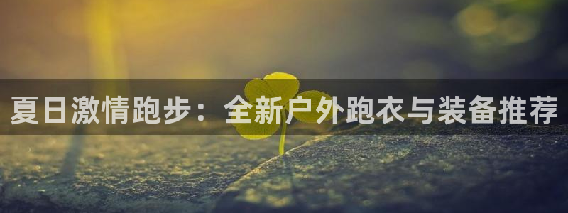 新宝gg首页
