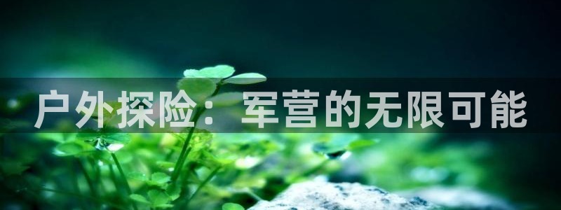 新宝奇迹GG5
