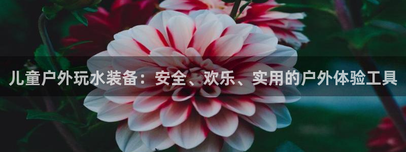 新宝gg有规律么
