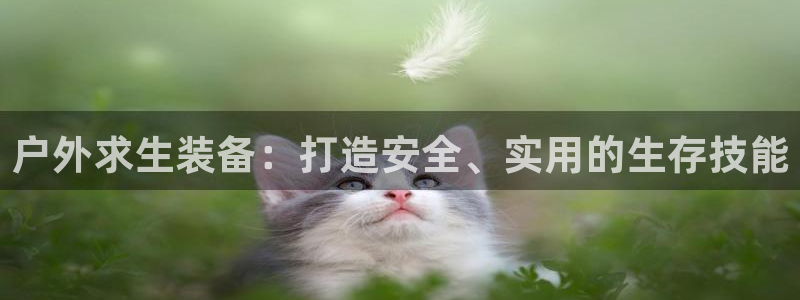 新宝gg平