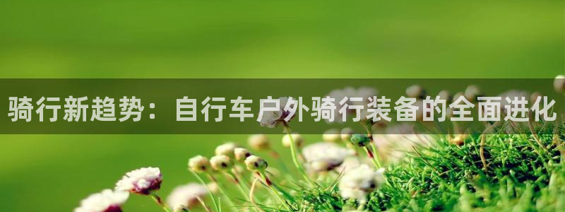新宝太阳gg