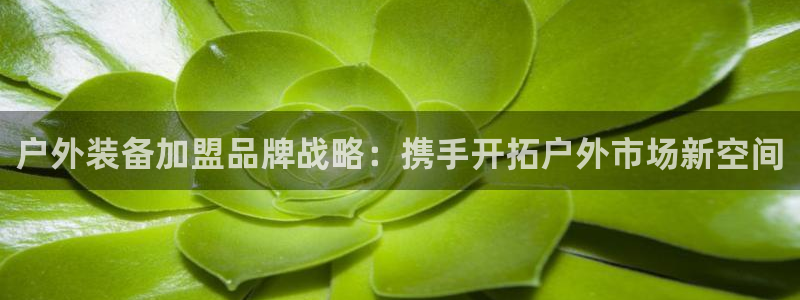 新宝gg评论