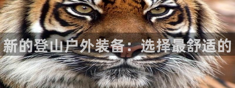 新宝gg手机