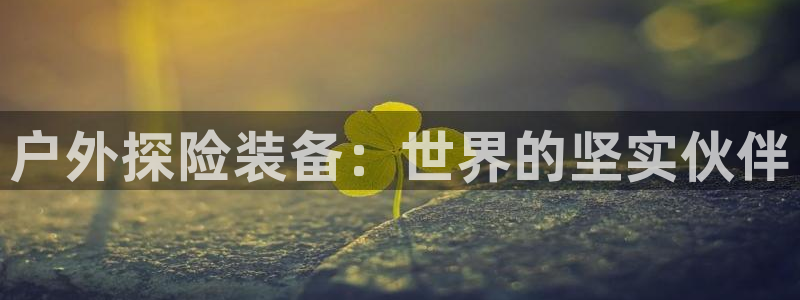 新宝gg招商致胜团队