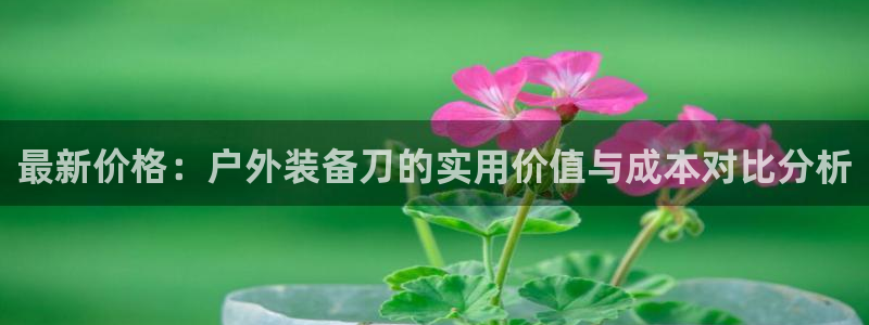 新宝gg创建奇迹