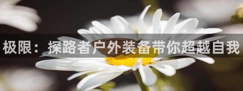 新宝gg 开户