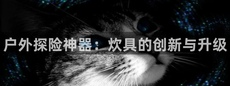 新宝gg为什么没人管