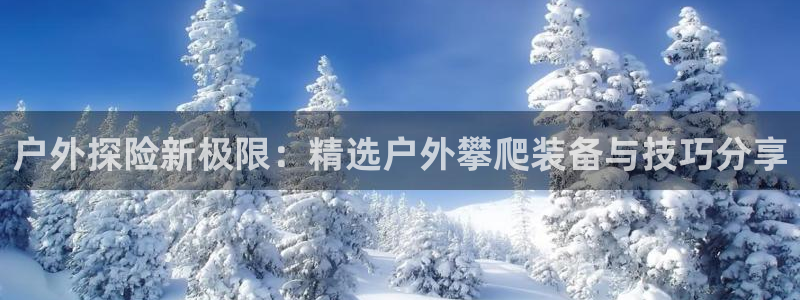 新宝gg dengludizhi