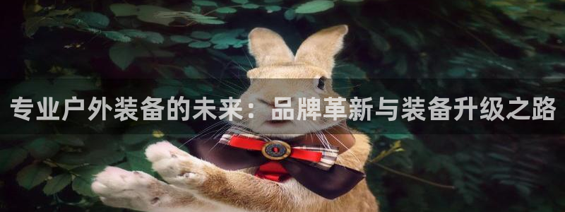 新宝gg主管 9