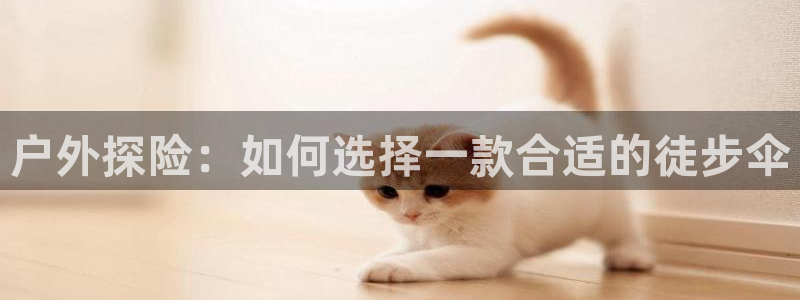 新宝gg怎么开户