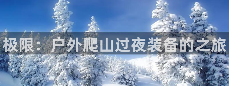新宝gg直属上级