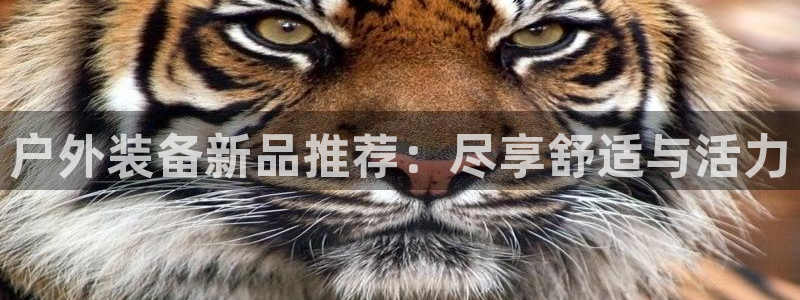 新宝gg官方