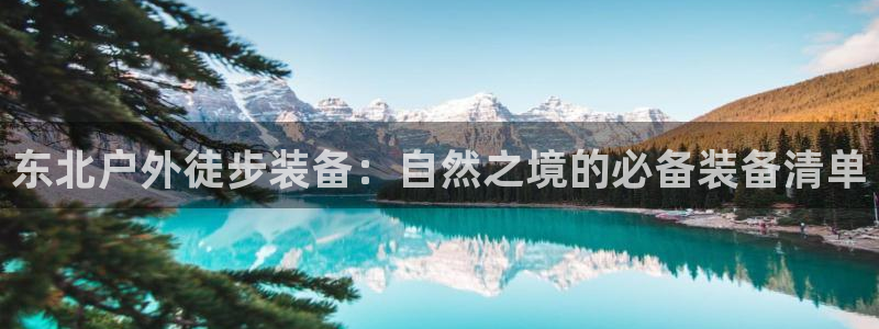 新宝gg图片