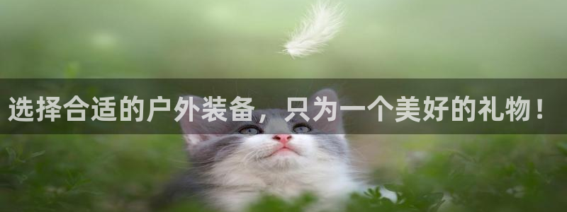 正版新宝gg