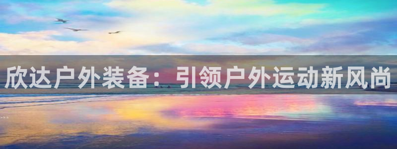 新宝g新宝gg