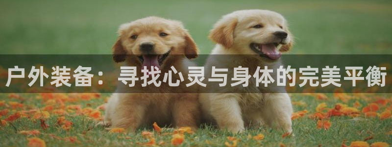新宝gg重庆