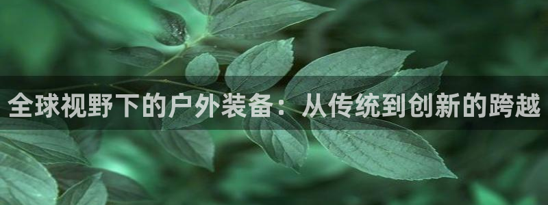 新宝gg 登录页面