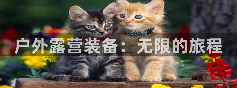 新宝gg网