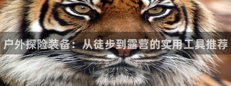 新宝gg真的能赚钱么
