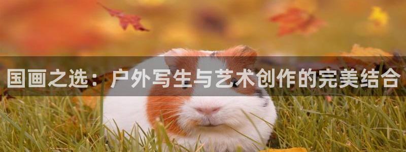 新宝gg主管都是谁