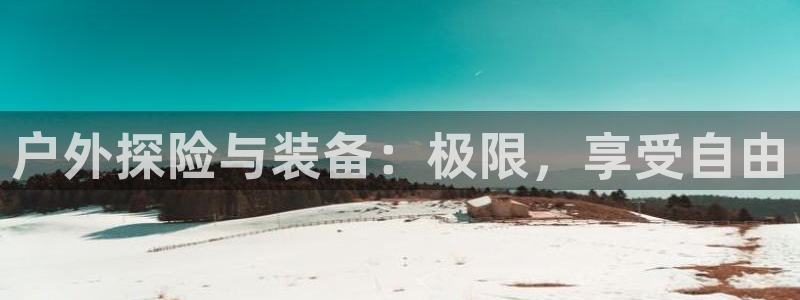 新宝gg怎么样