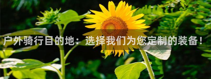 新宝gg怎么做代理
