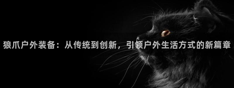 新宝gg-