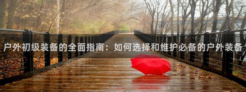 新宝gg主管都是谁