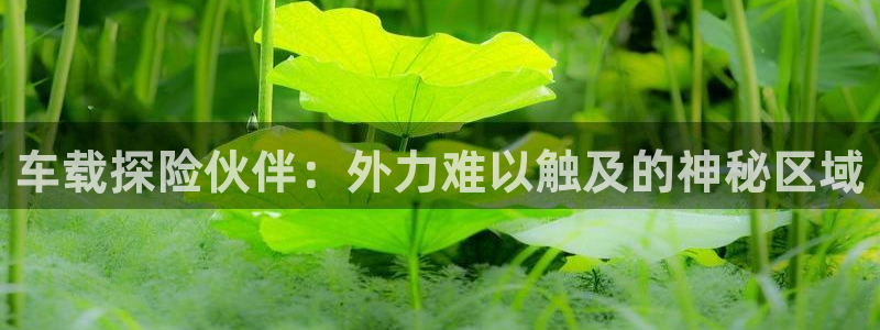 新宝GG绿色