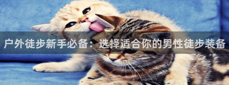 新宝_gg