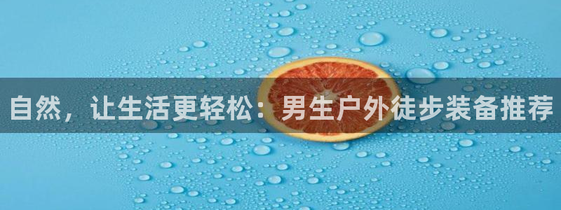 新宝gg__