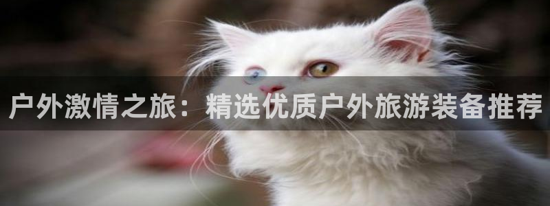 新宝GG手机客户端