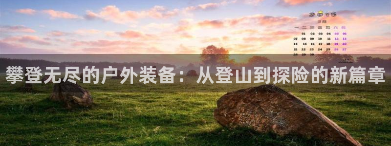 新宝GG53339咨询新宝GG