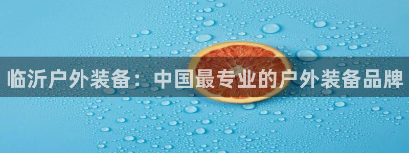 新宝gg如何做到总代理